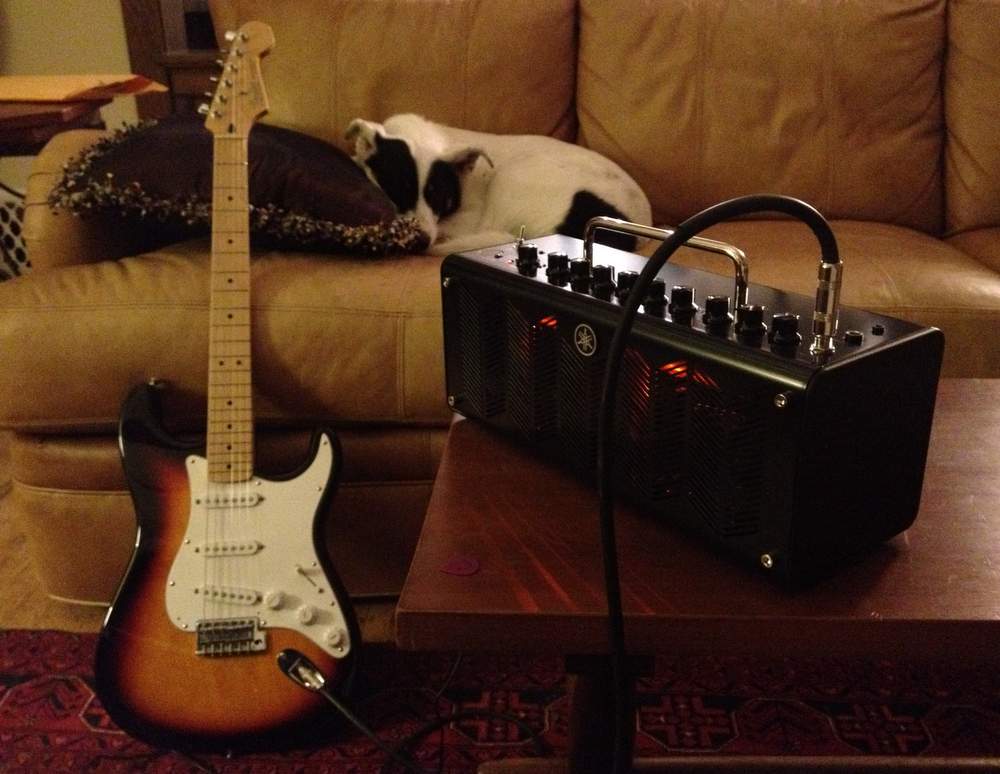 NAD: Yamaha THR10C | Telecaster Guitar Forum